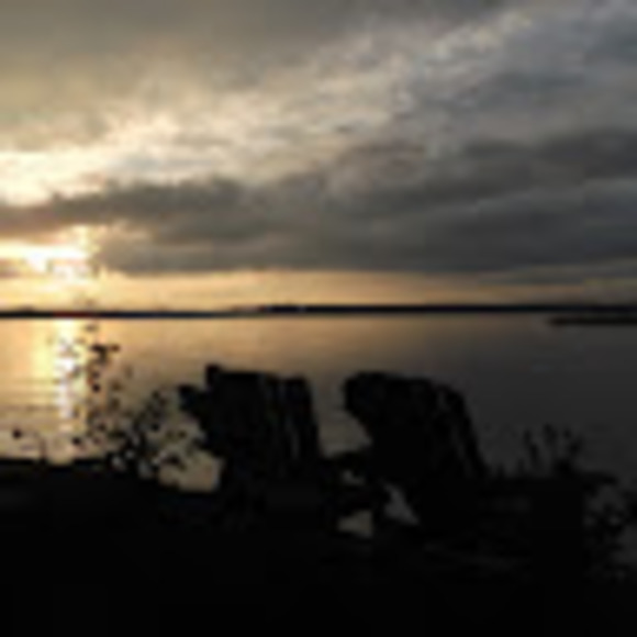 Meet your Posher, Allison - Picture 1 of 1